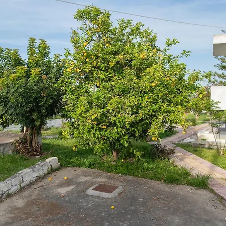 Daire Filoxenia Cozynest Marmari (Kos)